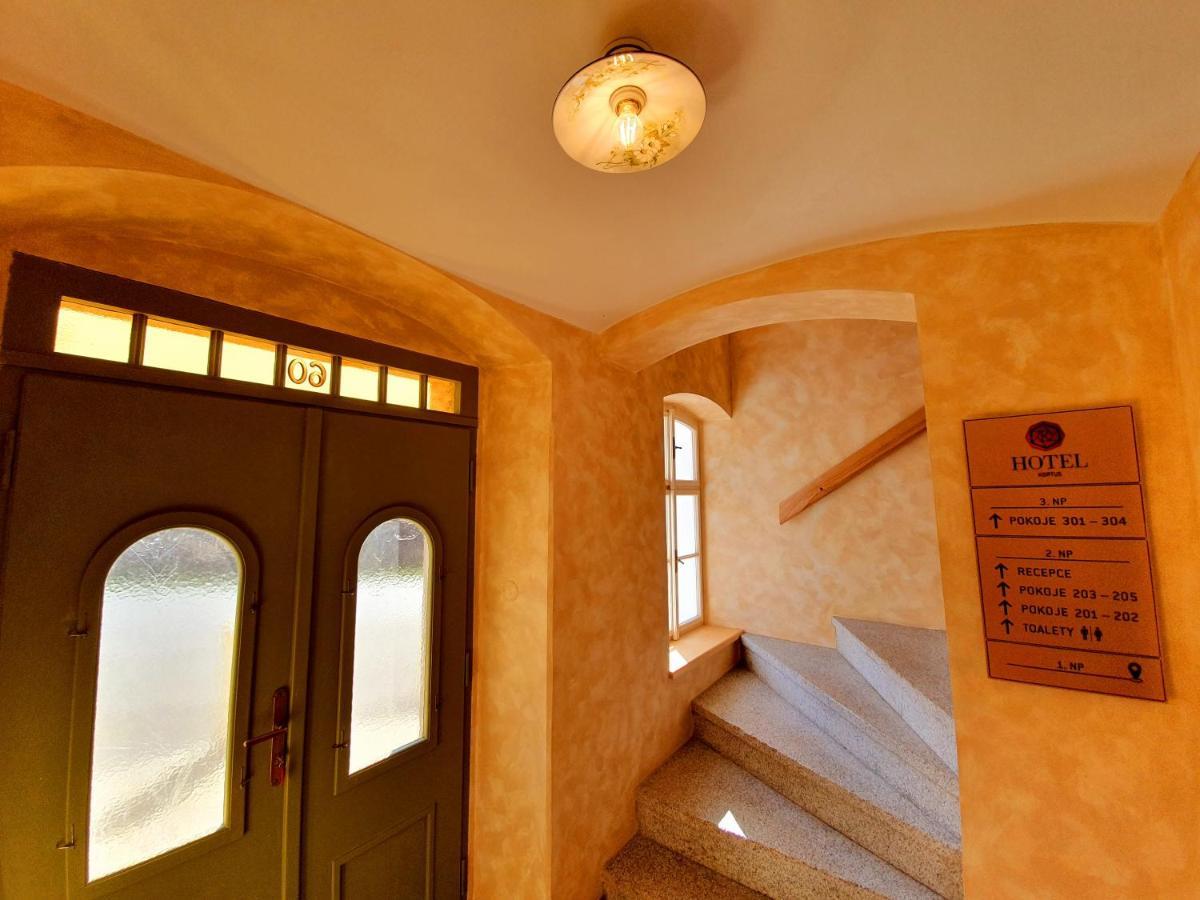 Hotel Kortus Jetřichovice المظهر الخارجي الصورة